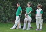 Inter House Cricket April 2015