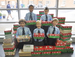 Shoe box appeal