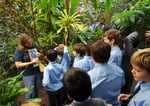 Year 6 Living Rainforest field trip