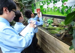 Year 6 Living Rainforest field trip