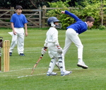 Inter House Cricket April 2015