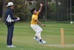 Inter House Cricket May 2015