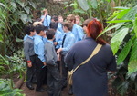 Year 6 Living Rainforest field trip