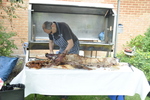 Hog roast 2019