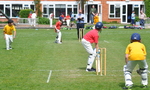 Inter House Cricket May 2015