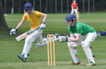 Inter House Cricket May 2015