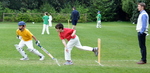 Inter House Cricket May 2015