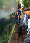 Year 6 Living Rainforest field trip