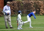 Inter House Cricket April 2015