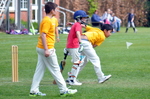 Inter House Cricket May 2015