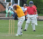 Inter House Cricket May 2015