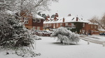 1st February 2019 - Snow is fun for some.