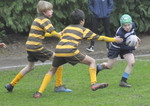 Rugby vs Woodcote under 11