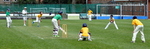 Inter House Cricket April 2015