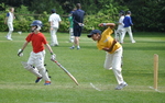 Inter House Cricket May 2015