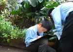 Year 6 Living Rainforest field trip