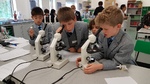 Bradfield Science Challenge Year 5