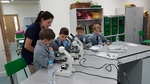 Bradfield Science Challenge Year 5