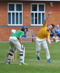 Inter House Cricket May 2015