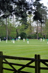 Inter House Cricket May 2015