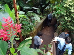 Year 6 Living Rainforest field trip