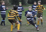 Rugby vs Woodcote under 11