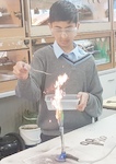 Year 6S chemical reactions - fireworks