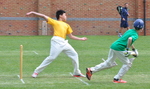 Inter House Cricket May 2015