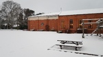 1st February 2019 - Snow is fun for some.