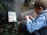 Year 6 Living Rainforest field trip