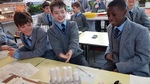 Science - Irreversible reactions - baking powder