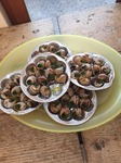 Des escargots de Bourgogne